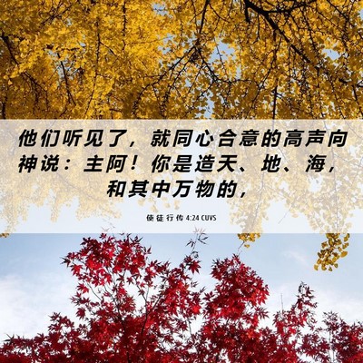 Picture 06 - 使 徒 行 传 4:24 CUVS - 他 们 听 见 了 ， 就 同 心 合 意 的 - Bible Verse Picture