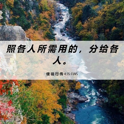 Picture 06 - 使 徒 行 传 4:35 CUVS - 照 各 人 所 需 用 的 ， 分 给 各 人 - Bible Verse Picture