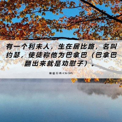 Picture 06 - 使 徒 行 传 4:36 CUVS - 有 一 个 利 未 人 ， 生 在 居 比 路 - Bible Verse Picture