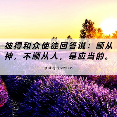 Picture 06 - 使 徒 行 传 5:29 CUVS - 彼 得 和 众 使 徒 回 答 说 ： 顺 从 - Bible Verse Picture