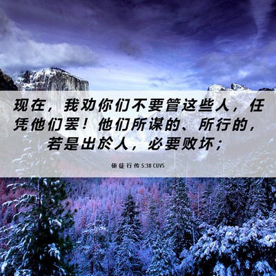 Picture 06 - 使 徒 行 传 5:38 CUVS - 现 在 ， 我 劝 你 们 不 要 管 这 些 - Bible Verse Picture