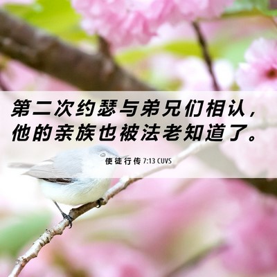 Picture 06 - 使 徒 行 传 7:13 CUVS - 第 二 次 约 瑟 与 弟 兄 们 相 认 ， - Bible Verse Picture