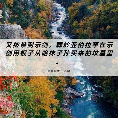 Picture 06 - 使 徒 行 传 7:16 CUVS - 又 被 带 到 示 剑 ， 葬 於 亚 伯 拉 - Bible Verse Picture