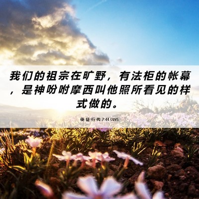 Picture 06 - 使 徒 行 传 7:44 CUVS - 我 们 的 祖 宗 在 旷 野 ， 有 法 柜 - Bible Verse Picture