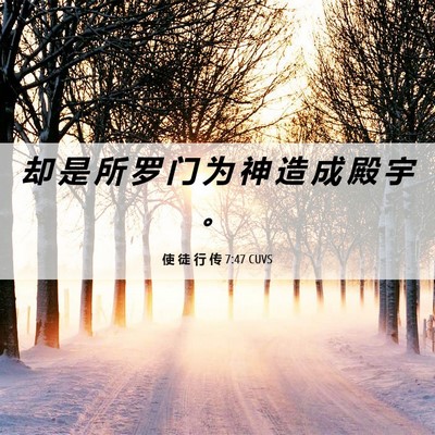 Picture 06 - 使 徒 行 传 7:47 CUVS - 却 是 所 罗 门 为 神 造 成 殿 宇 - Bible Verse Picture