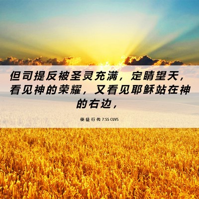 Picture 06 - 使 徒 行 传 7:55 CUVS - 但 司 提 反 被 圣 灵 充 满 ， 定 睛 - Bible Verse Picture