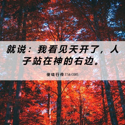Picture 06 - 使 徒 行 传 7:56 CUVS - 就 说 ： 我 看 见 天 开 了 ， 人 子 - Bible Verse Picture