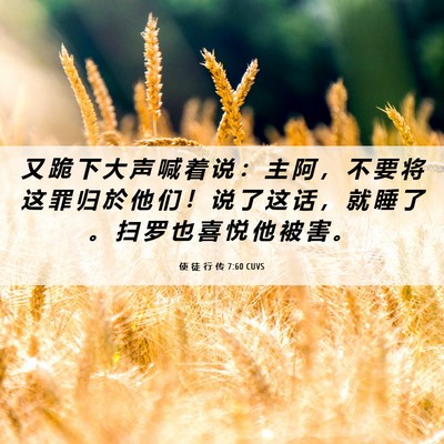 Picture 06 - 使 徒 行 传 7:60 CUVS - 又 跪 下 大 声 喊 着 说 ： 主 阿 ， - Bible Verse Picture