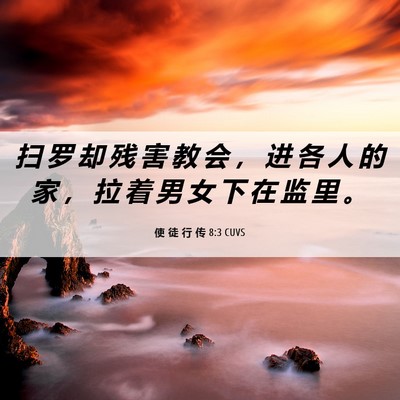 Picture 06 - 使 徒 行 传 8:3 CUVS - 扫 罗 却 残 害 教 会 ， 进 各 人 的 - Bible Verse Picture
