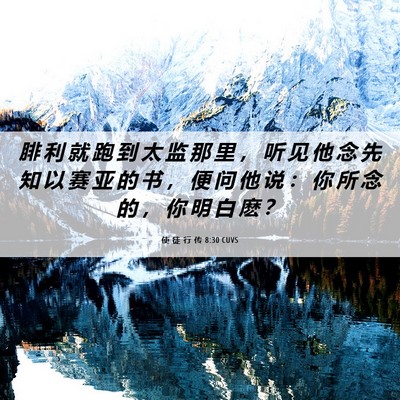 Picture 06 - 使 徒 行 传 8:30 CUVS - 腓 利 就 跑 到 太 监 那 里 ， 听 见 - Bible Verse Picture
