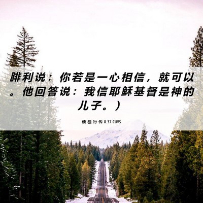 Picture 06 - 使 徒 行 传 8:37 CUVS - 腓 利 说 ： 你 若 是 一 心 相 信 ， - Bible Verse Picture