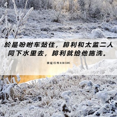 Picture 06 - 使 徒 行 传 8:38 CUVS - 於 是 吩 咐 车 站 住 ， 腓 利 和 太 - Bible Verse Picture