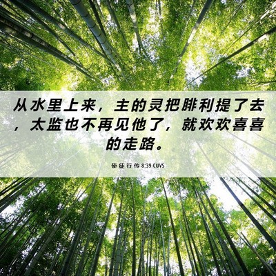 Picture 06 - 使 徒 行 传 8:39 CUVS - 从 水 里 上 来 ， 主 的 灵 把 腓 利 - Bible Verse Picture