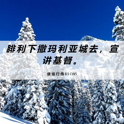 Picture 06 - 使 徒 行 传 8:5 CUVS - 腓 利 下 撒 玛 利 亚 城 去 ， 宣 讲 - Bible Verse Picture