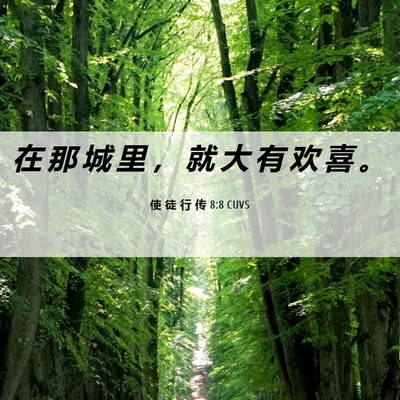 Picture 06 - 使 徒 行 传 8:8 CUVS - 在 那 城 里 ， 就 大 有 欢 喜 - Bible Verse Picture