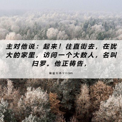 Picture 06 - 使 徒 行 传 9:11 CUVS - 主 对 他 说 ： 起 来 ！ 往 直 街 去 - Bible Verse Picture