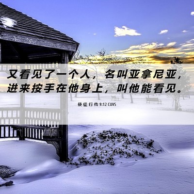 Picture 06 - 使 徒 行 传 9:12 CUVS - 又 看 见 了 一 个 人 ， 名 叫 亚 拿 - Bible Verse Picture