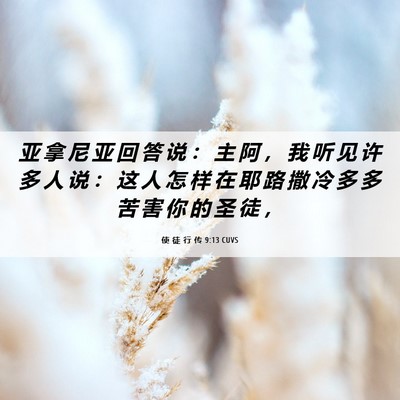 Picture 06 - 使 徒 行 传 9:13 CUVS - 亚 拿 尼 亚 回 答 说 ： 主 阿 ， 我 - Bible Verse Picture