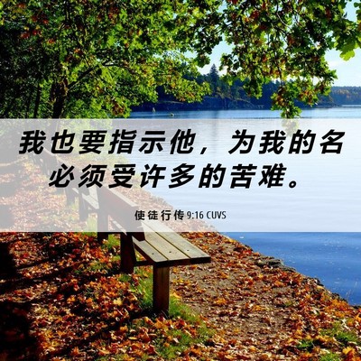 Picture 06 - 使 徒 行 传 9:16 CUVS - 我 也 要 指 示 他 ， 为 我 的 名 必 - Bible Verse Picture