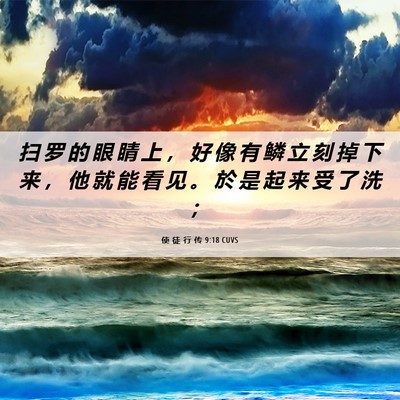 Picture 06 - 使 徒 行 传 9:18 CUVS - 扫 罗 的 眼 睛 上 ， 好 像 有 鳞 立 - Bible Verse Picture