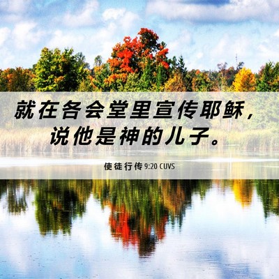 Picture 06 - 使 徒 行 传 9:20 CUVS - 就 在 各 会 堂 里 宣 传 耶 稣 ， 说 - Bible Verse Picture