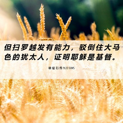 Picture 06 - 使 徒 行 传 9:22 CUVS - 但 扫 罗 越 发 有 能 力 ， 驳 倒 住 - Bible Verse Picture
