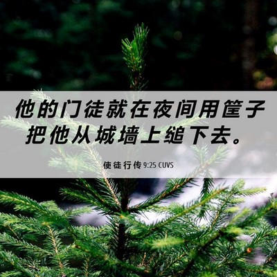 Picture 06 - 使 徒 行 传 9:25 CUVS - 他 的 门 徒 就 在 夜 间 用 筐 子 把 - Bible Verse Picture