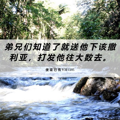 Picture 06 - 使 徒 行 传 9:30 CUVS - 弟 兄 们 知 道 了 就 送 他 下 该 撒 - Bible Verse Picture