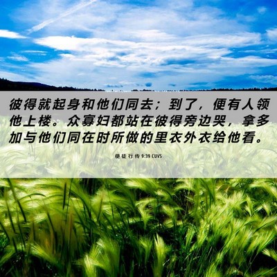 Picture 06 - 使 徒 行 传 9:39 CUVS - 彼 得 就 起 身 和 他 们 同 去 ； 到 - Bible Verse Picture