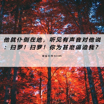 Picture 06 - 使 徒 行 传 9:4 CUVS - 他 就 仆 倒 在 地 ， 听 见 有 声 音 - Bible Verse Picture
