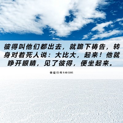 Picture 06 - 使 徒 行 传 9:40 CUVS - 彼 得 叫 他 们 都 出 去 ， 就 跪 下 - Bible Verse Picture