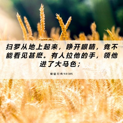 Picture 06 - 使 徒 行 传 9:8 CUVS - 扫 罗 从 地 上 起 来 ， 睁 开 眼 睛 - Bible Verse Picture