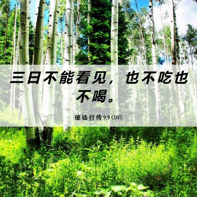 Picture 06 - 使 徒 行 传 9:9 CUVS - 三 日 不 能 看 见 ， 也 不 吃 也 不 - Bible Verse Picture