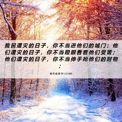 Picture 06 - 俄 巴 底 亚 书 1:13 CUVS - 我 民 遭 灾 的 日 子 ， 你 不 当 进 - Bible Verse Picture