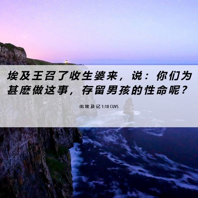 Picture 06 - 出 埃 及 记 1:18 CUVS - 埃 及 王 召 了 收 生 婆 来 ， 说 ： - Bible Verse Picture