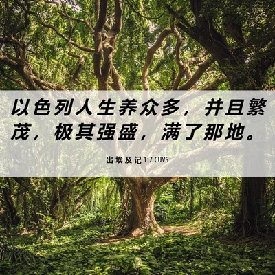Picture 06 - 出 埃 及 记 1:7 CUVS - 以 色 列 人 生 养 众 多 ， 并 且 繁 - Bible Verse Picture