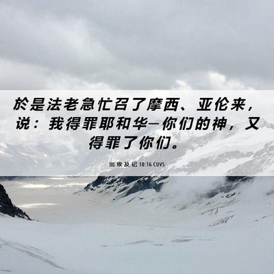 Picture 06 - 出 埃 及 记 10:16 CUVS - 於 是 法 老 急 忙 召 了 摩 西 、 亚 - Bible Verse Picture