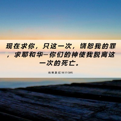 Picture 06 - 出 埃 及 记 10:17 CUVS - 现 在 求 你 ， 只 这 一 次 ， 饶 恕 - Bible Verse Picture