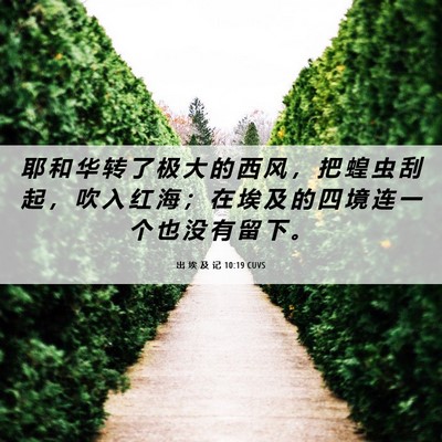 Picture 06 - 出 埃 及 记 10:19 CUVS - 耶 和 华 转 了 极 大 的 西 风 ， 把 - Bible Verse Picture