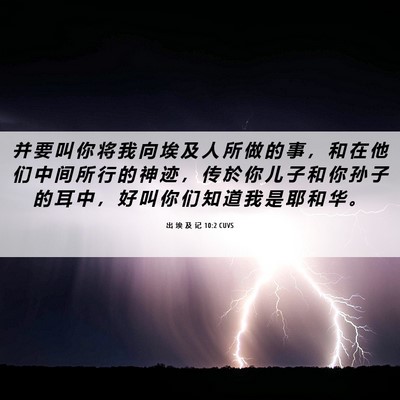 Picture 06 - 出 埃 及 记 10:2 CUVS - 并 要 叫 你 将 我 向 埃 及 人 所 做 - Bible Verse Picture