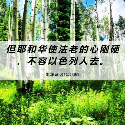 Picture 06 - 出 埃 及 记 10:20 CUVS - 但 耶 和 华 使 法 老 的 心 刚 硬 ， - Bible Verse Picture