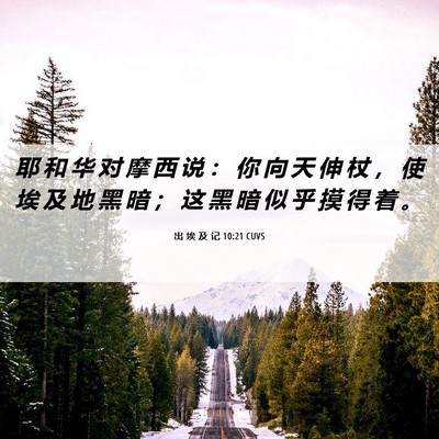 Picture 06 - 出 埃 及 记 10:21 CUVS - 耶 和 华 对 摩 西 说 ： 你 向 天 伸 - Bible Verse Picture