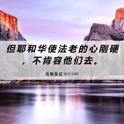 Picture 06 - 出 埃 及 记 10:27 CUVS - 但 耶 和 华 使 法 老 的 心 刚 硬 ， - Bible Verse Picture