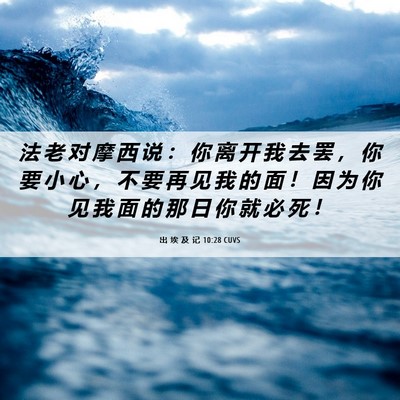 Picture 06 - 出 埃 及 记 10:28 CUVS - 法 老 对 摩 西 说 ： 你 离 开 我 去 - Bible Verse Picture