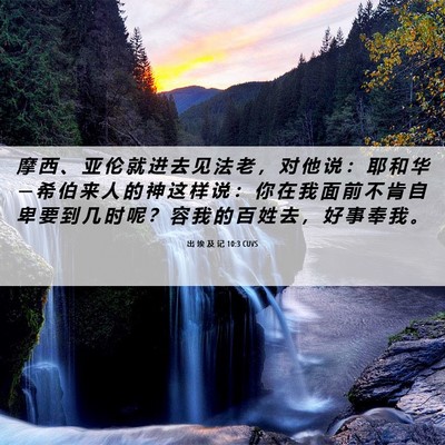 Picture 06 - 出 埃 及 记 10:3 CUVS - 摩 西 、 亚 伦 就 进 去 见 法 老 ， - Bible Verse Picture
