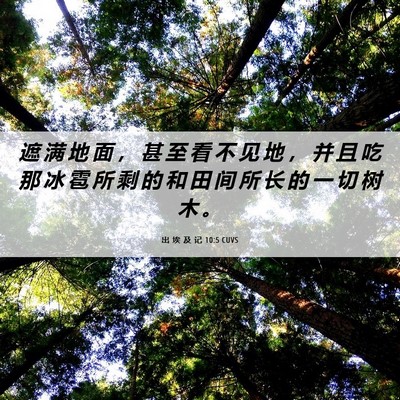 Picture 06 - 出 埃 及 记 10:5 CUVS - 遮 满 地 面 ， 甚 至 看 不 见 地 ， - Bible Verse Picture