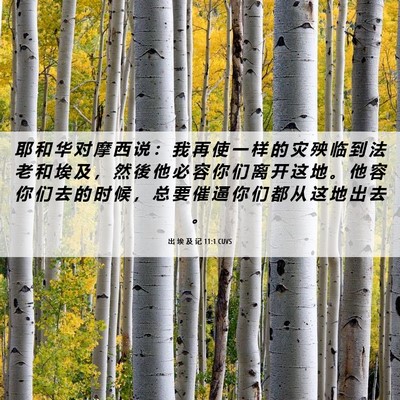 Picture 06 - 出 埃 及 记 11:1 CUVS - 耶 和 华 对 摩 西 说 ： 我 再 使 一 - Bible Verse Picture