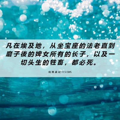 Picture 06 - 出 埃 及 记 11:5 CUVS - 凡 在 埃 及 地 ， 从 坐 宝 座 的 法 - Bible Verse Picture