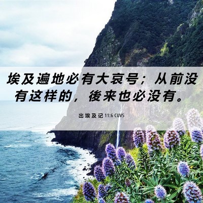 Picture 06 - 出 埃 及 记 11:6 CUVS - 埃 及 遍 地 必 有 大 哀 号 ； 从 前 - Bible Verse Picture