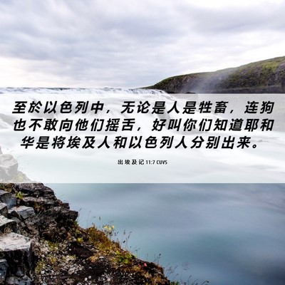 Picture 06 - 出 埃 及 记 11:7 CUVS - 至 於 以 色 列 中 ， 无 论 是 人 是 - Bible Verse Picture